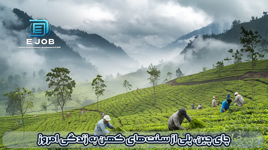 خرید چای چینی